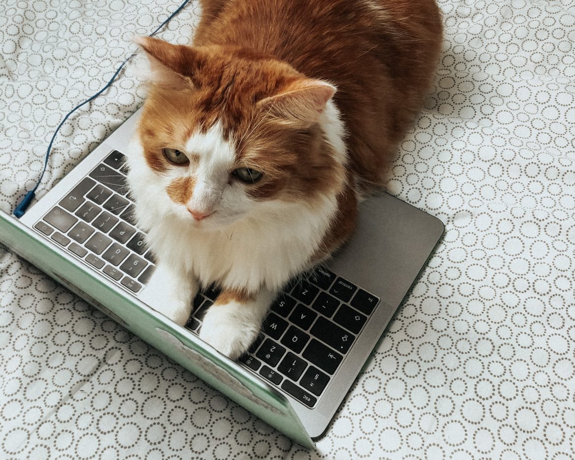 QuaseInedita-Contato